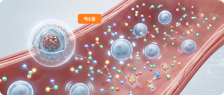 엑소좀